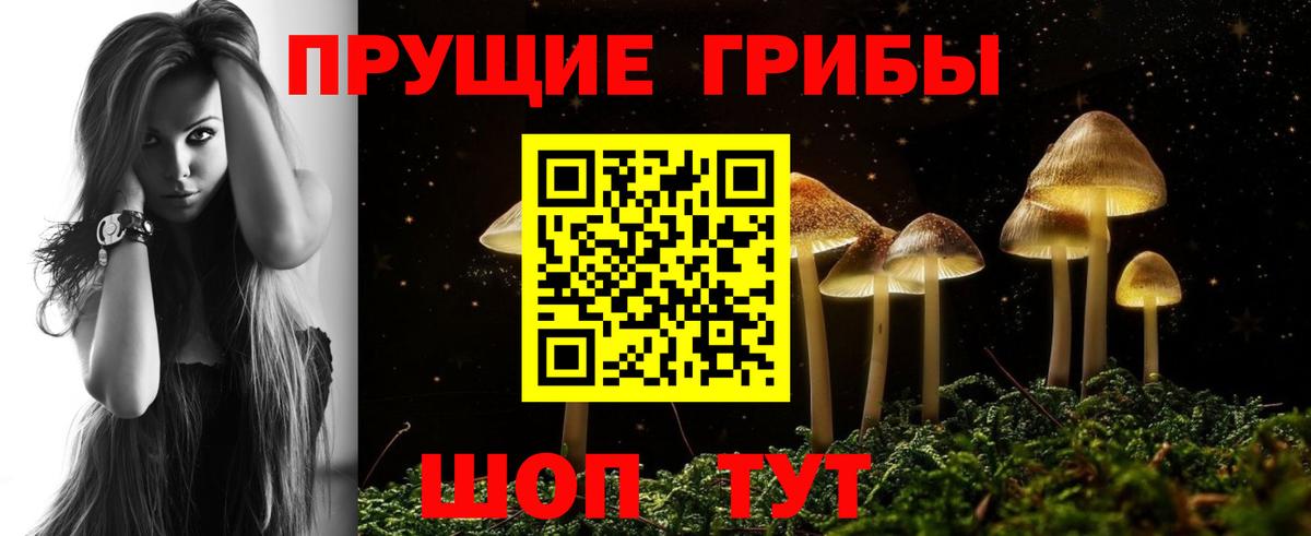 Галлюциногенные грибы Cubensis Семёнов